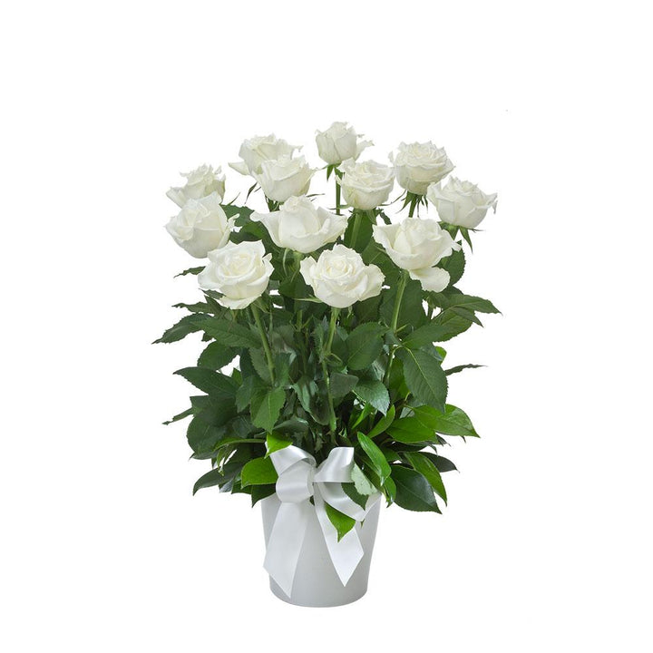 Impulse | Rosebay Florist &amp; Nursery | Online Flower Delivery