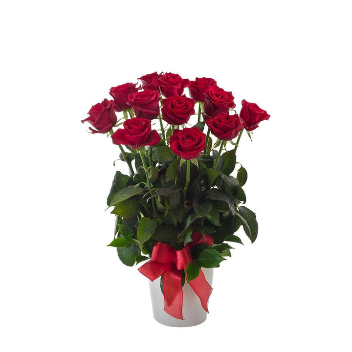 Impulse | Rosebay Florist &amp; Nursery | Online Flower Delivery