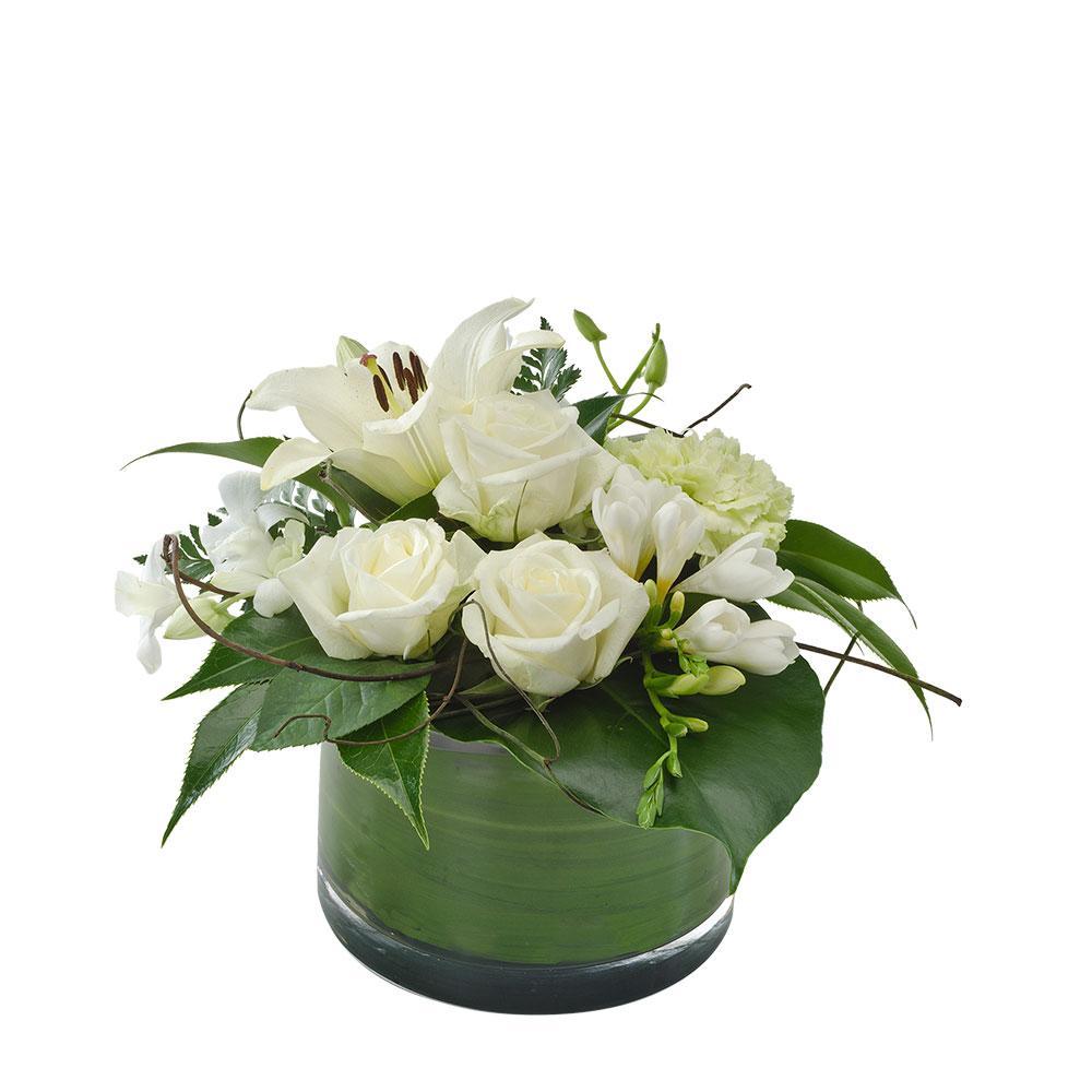 Serenity | Rosebay Florist & Nursery | Online Flower Delivery